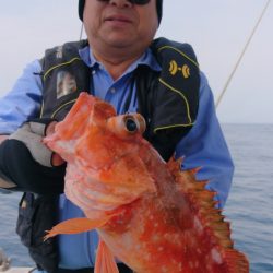 ブルースフィッシングサービス 釣果