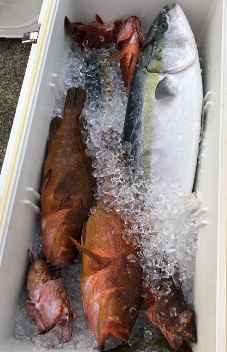 あみや渡船 JIGBOY 釣果