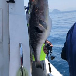 あみや渡船 JIGBOY 釣果