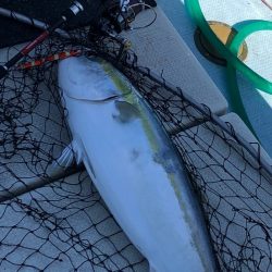 あみや渡船 JIGBOY 釣果