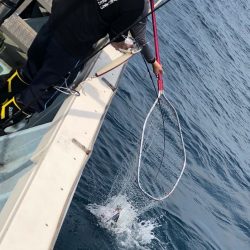 あみや渡船 JIGBOY 釣果