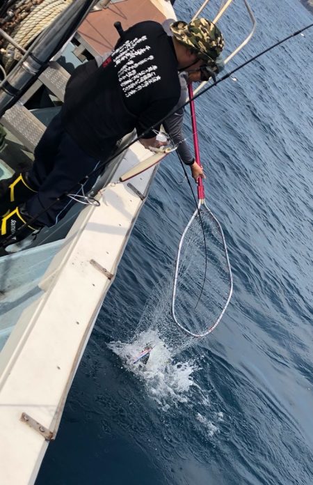 あみや渡船 JIGBOY 釣果