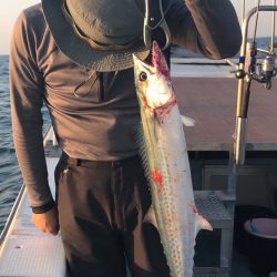 あみや渡船 JIGBOY 釣果