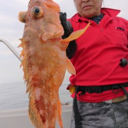 ブルースフィッシングサービス 釣果