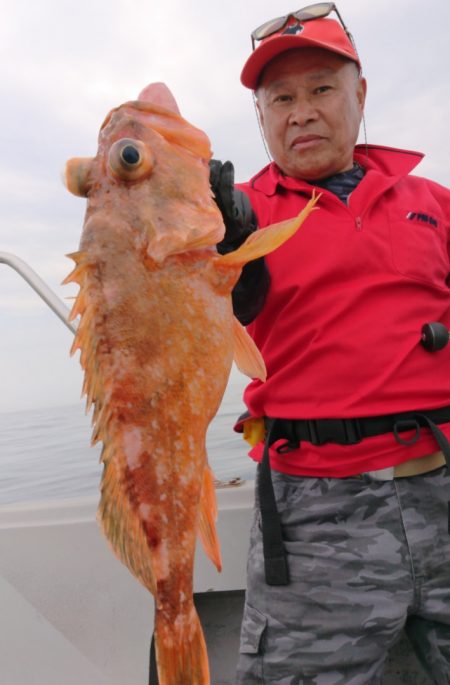 ブルースフィッシングサービス 釣果