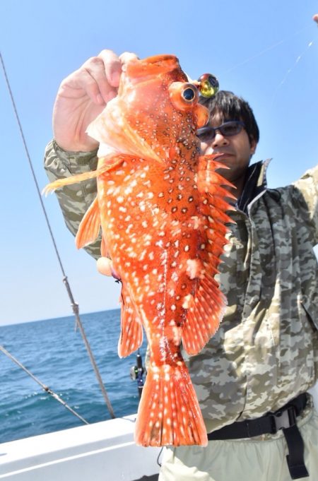 渡船屋たにぐち 釣果