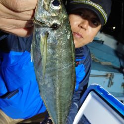 シースナイパー海龍 釣果