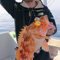 ブルースフィッシングサービス 釣果