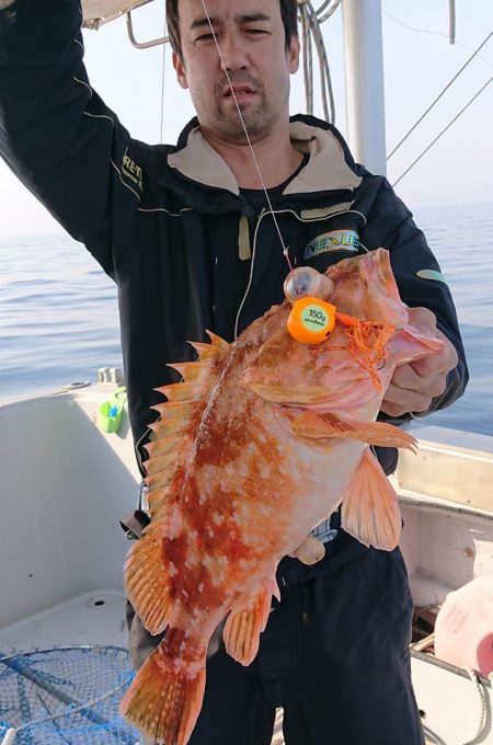 ブルースフィッシングサービス 釣果