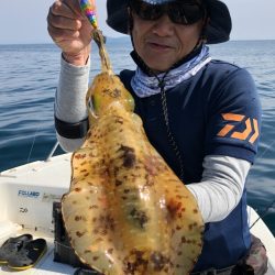 「LaGooN」蒼陽丸 日和号 釣果