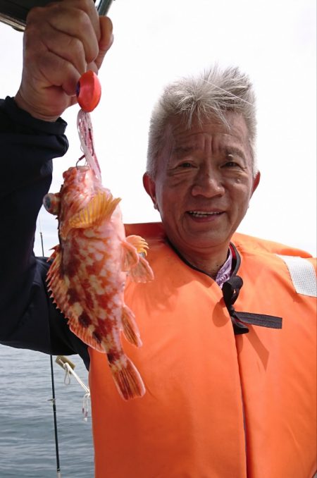 遊漁船 家入 釣果