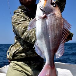 渡船屋たにぐち 釣果