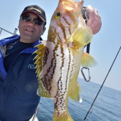 渡船屋たにぐち 釣果