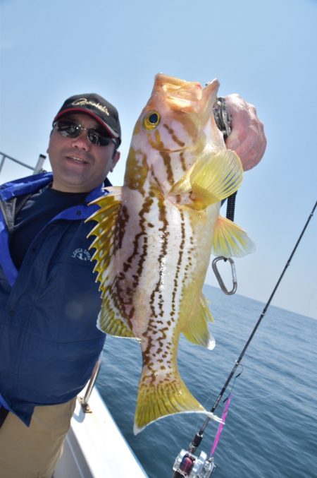 渡船屋たにぐち 釣果