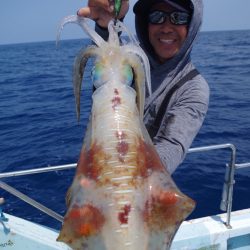 渡船屋たにぐち 釣果