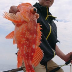 ブルースフィッシングサービス 釣果