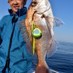 渡船屋たにぐち 釣果