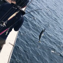 あみや渡船 JIGBOY 釣果