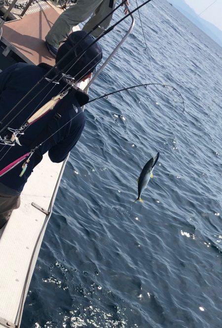 あみや渡船 JIGBOY 釣果