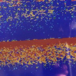 あみや渡船 JIGBOY 釣果