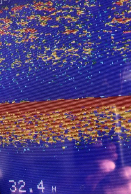 あみや渡船 JIGBOY 釣果