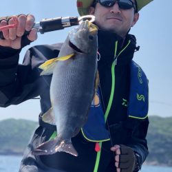 「LaGooN」蒼陽丸 日和号 釣果