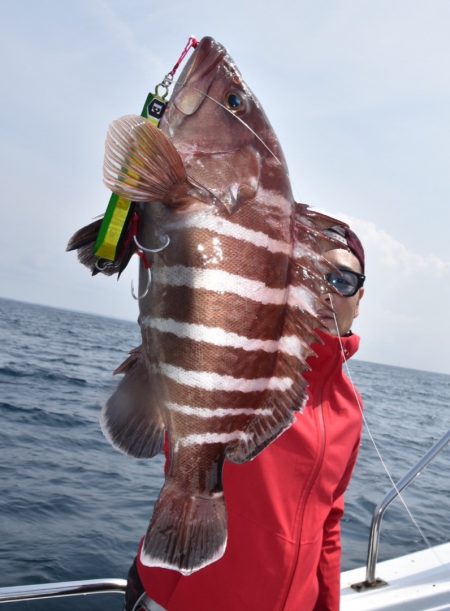 渡船屋たにぐち 釣果