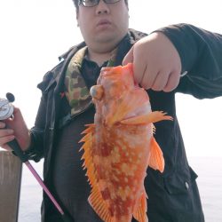 ブルースフィッシングサービス 釣果