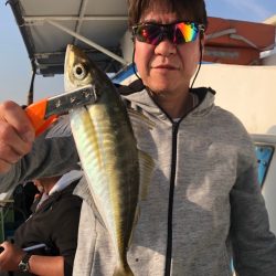 ヤザワ渡船 釣果