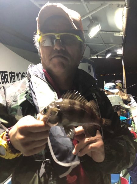 ヤザワ渡船 釣果