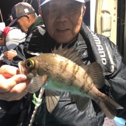 ヤザワ渡船 釣果