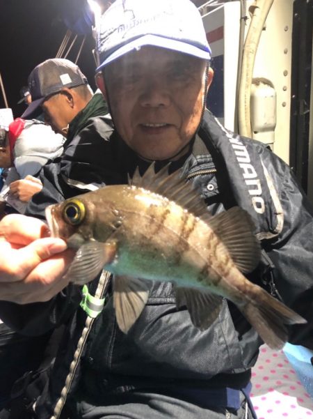 ヤザワ渡船 釣果