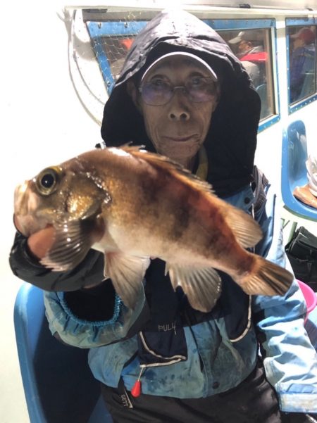 ヤザワ渡船 釣果