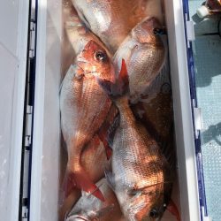 第二八坂丸 釣果