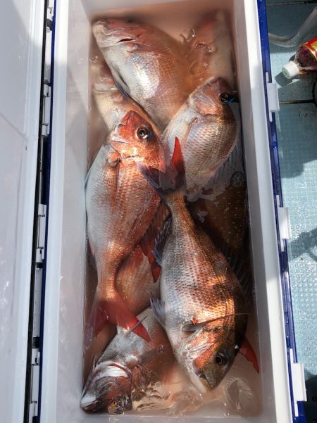 第二八坂丸 釣果