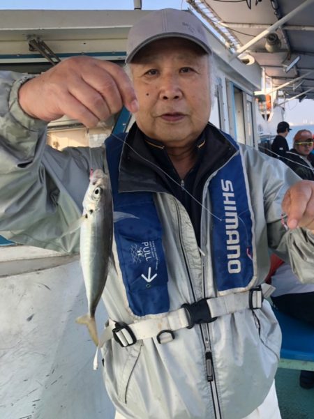 ヤザワ渡船 釣果