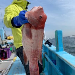みやけ丸 釣果