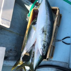 あみや渡船 JIGBOY 釣果