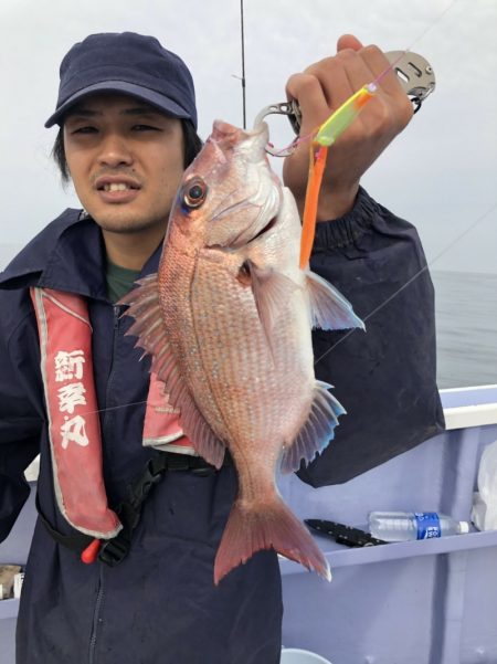 新幸丸 釣果