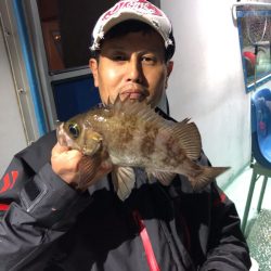 ヤザワ渡船 釣果