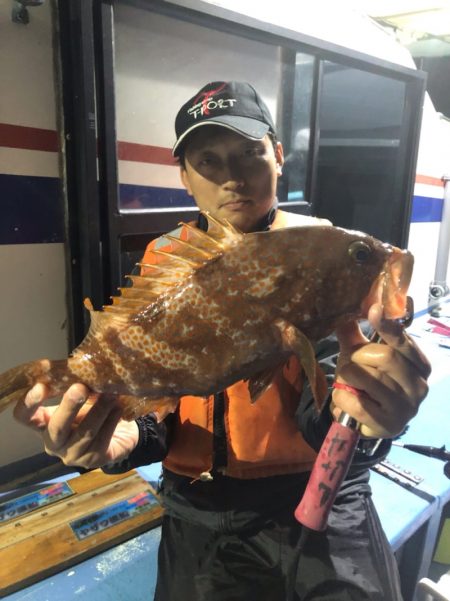 ヤザワ渡船 釣果