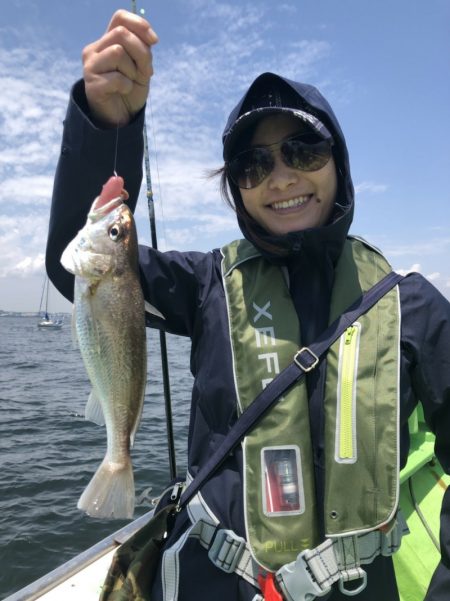 金沢八景鴨下丸 釣果