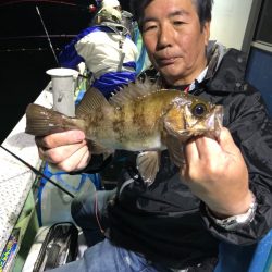 ヤザワ渡船 釣果