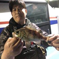 ヤザワ渡船 釣果