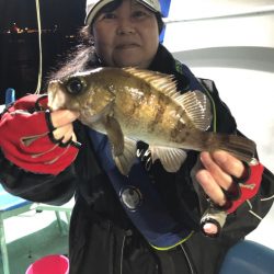 ヤザワ渡船 釣果