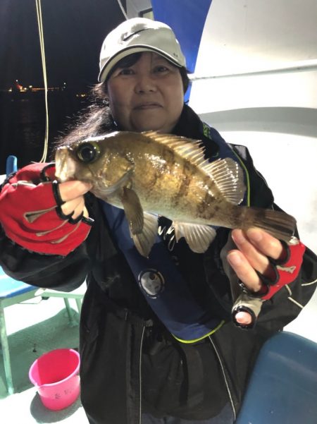 ヤザワ渡船 釣果