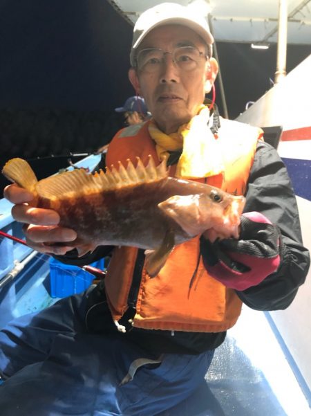 ヤザワ渡船 釣果