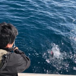 あみや渡船 JIGBOY 釣果