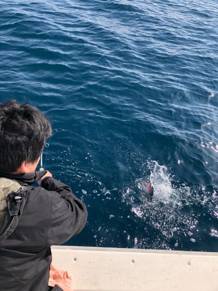 あみや渡船 JIGBOY 釣果