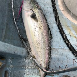 あみや渡船 JIGBOY 釣果